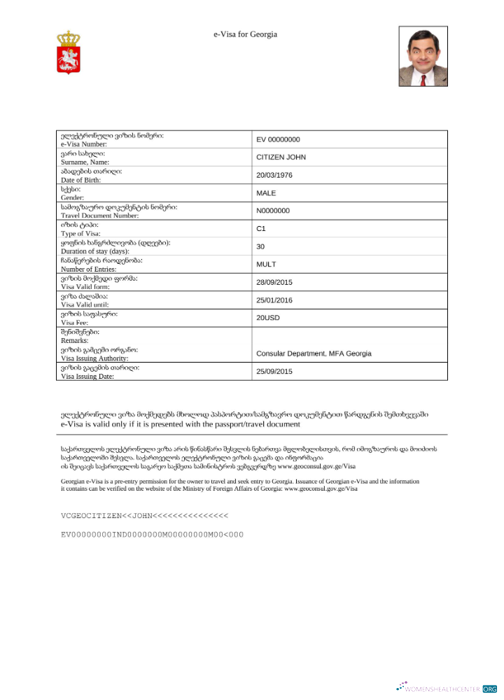 Download Georgia e visa in Word and PDF template Photoshop template